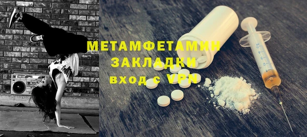 прущие грибы Верхний Тагил