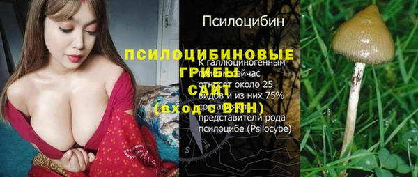 спиды Волоколамск
